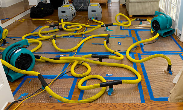 Professional Basement Flood Cleanup technician working in Tipton, IN